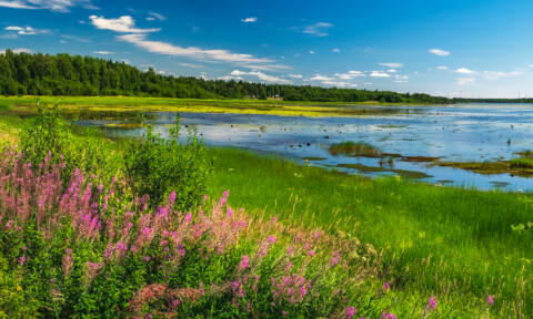 kalix dreamstime 154274404