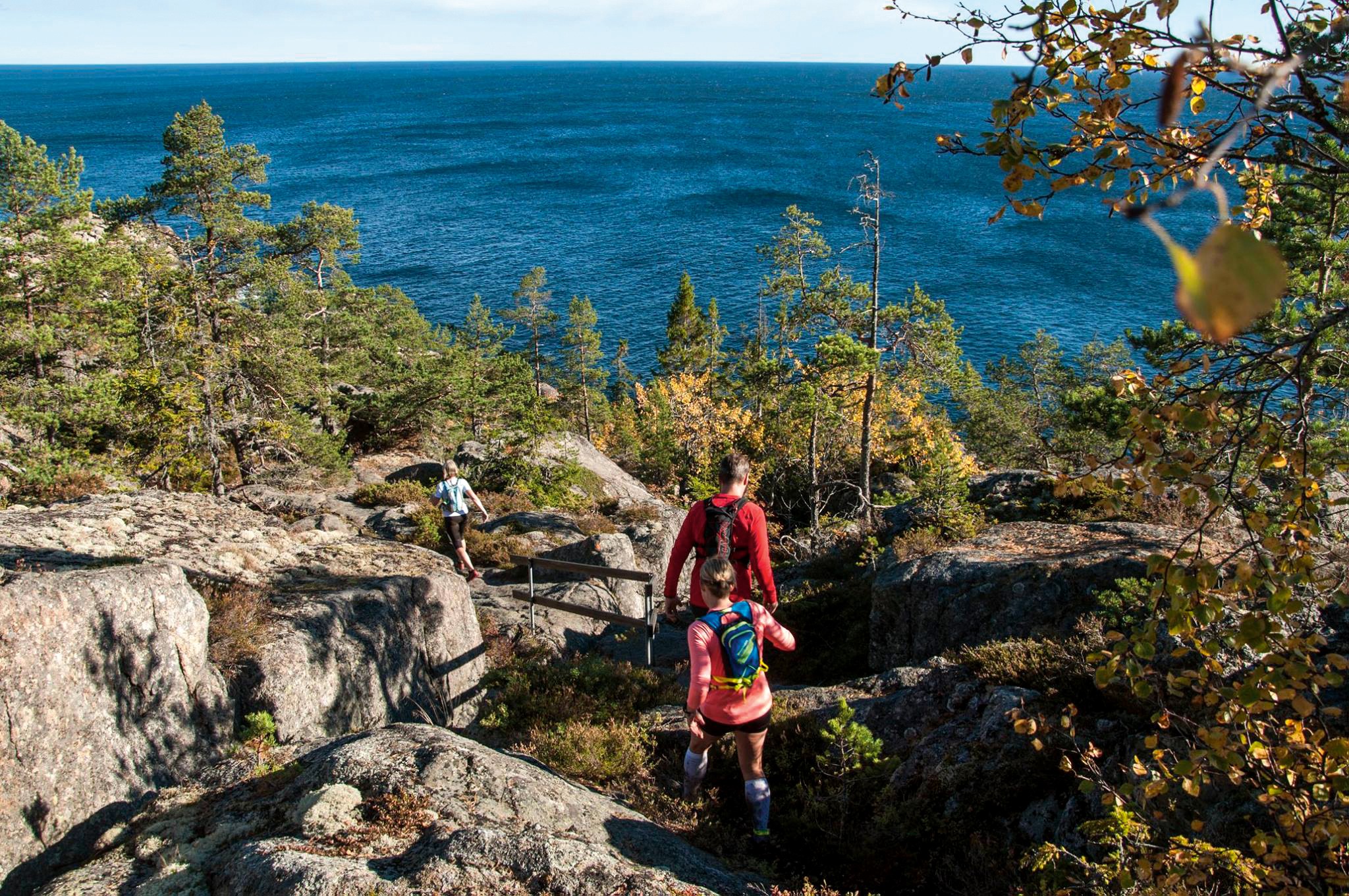 Djur n set G sthamn G sthamnsguiden Sverige