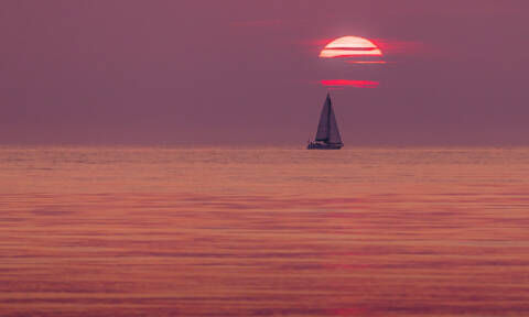 bat solnedgang alexanderhall 96dpi